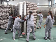 云南曲靖沪滇扶贫协作项目：富村镇食用菌菌棒加工厂建成投产 ()