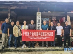 “乡村振兴食用菌科技服务专家团”赴怒江州开展科技服务 ()