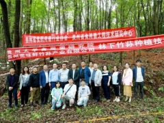 专家助力，贵阳市顺海林场岔二岩林下红托竹荪种植基地成功开展种植技术培训会 ()