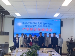 黑龙江拜泉县：深化产学研合作 助推食用菌产业升级 ()