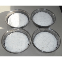 供应新型食品-裂褶菌菌糕