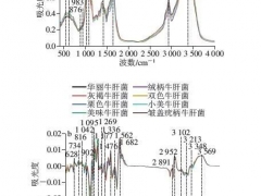 基于支持向量机对云南常见野生食用牛肝菌中红外光谱的种类鉴别 ()