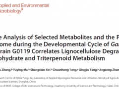 上海农科院张劲松研究员团队：研究揭示灵芝栽培过程中基质降解与多糖和三萜合成间的代谢关联 ()