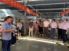 湖北随县召开食用菌“515”行动现场观摩培训会 ()