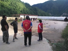 河南：食用菌产业科技特派团到卢氏开展灾后指导 ()