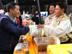 虫草之乡：冬虫夏草展销会交易额达6211.62万元 ()