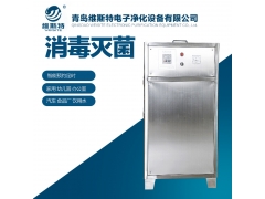 食品车间臭氧发生器 空间消毒臭氧杀菌机图1