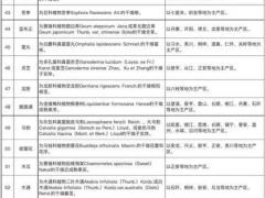贵州正式发布第一批道地药材目录 天麻白及等95种中药材纳入其中 ()