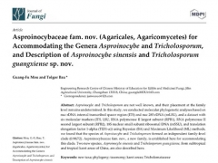 吉林农业大学图力古尔教授团队发表真菌新科 ()