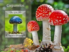 方寸中看尽世界菌菇 ——《邮海采菇—菌菇邮票鉴考》出版