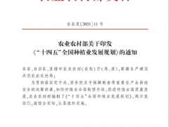 农业部发布《“十四五”全国种植业发展规划》 2025年力争食用菌总产量4000万吨 ()