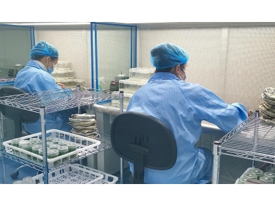 接种器械灭菌器HT-JZ-1,接种工具消毒器图2