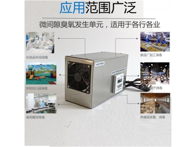 养殖场消毒机 圈舍除臭净化臭氧机 消毒除异味 汽车除烟味图5