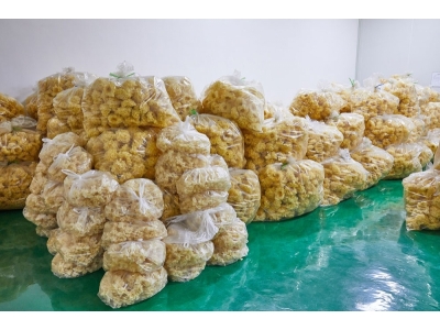 常年供应银耳白木耳丑耳雪菲宠耳北方银耳工厂化种植图3