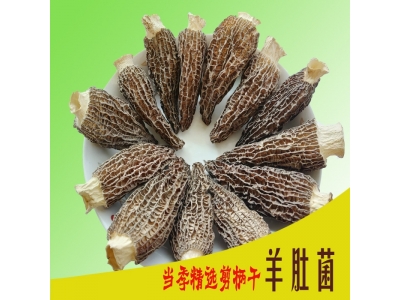 重庆2022年羊肚干货云南特产特级野生新鲜菌菇菌类菇汤料包非图4