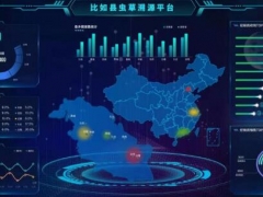 比如县虫草溯源系统完成UAT测试 ()