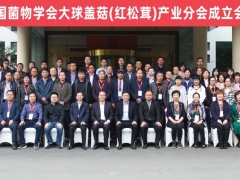 中国菌物学会大球盖菇（红松茸）产业分会成立会议