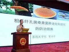 宋永学：菌种退化的最终结果是桑黄产量和质量的下降 ()