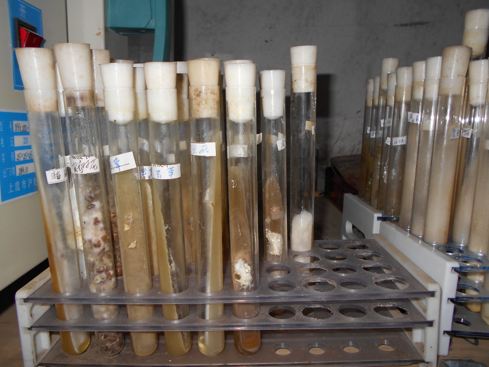 各种食用菌，药用菌种植技术，收学员包教包会。图2