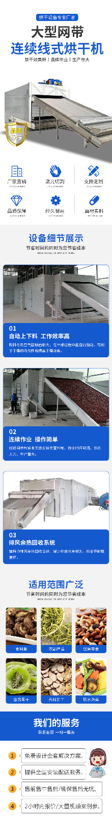 大型连续式烘干线图1