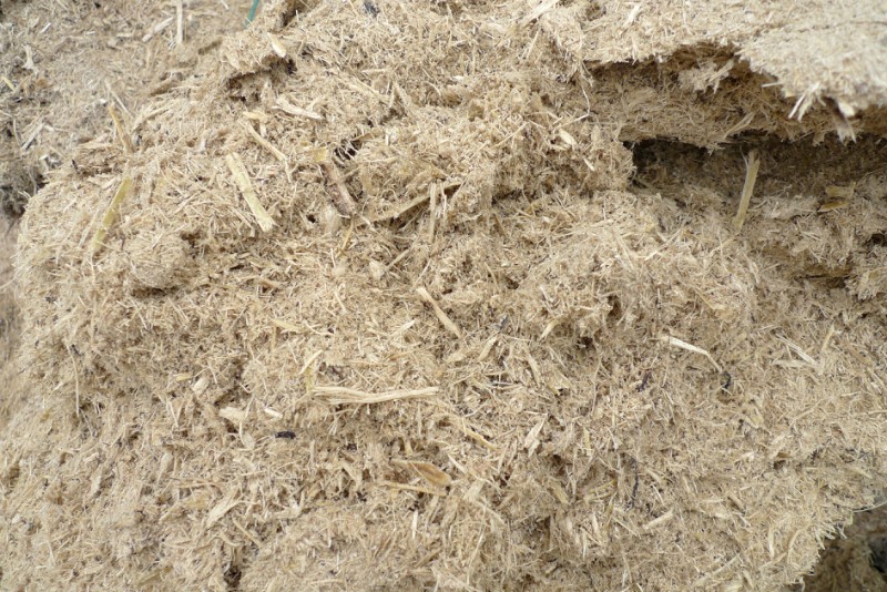 甘蔗渣 甘蔗下脚料 甘蔗皮 甘蔗肥 蔗渣图2