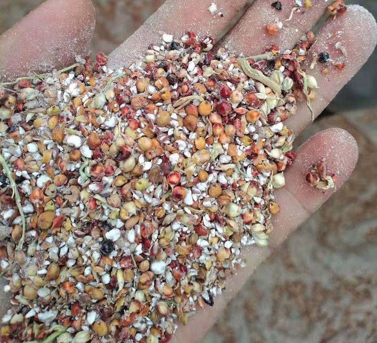 食用菌高粱壳,高粱渣高粱下脚料,高粱皮高粱菌种,食用菌玉米芯图3