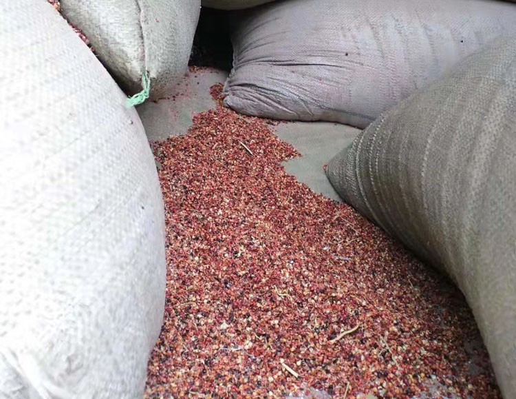 食用菌高粱壳,高粱渣高粱下脚料,高粱皮高粱菌种,食用菌玉米芯图2