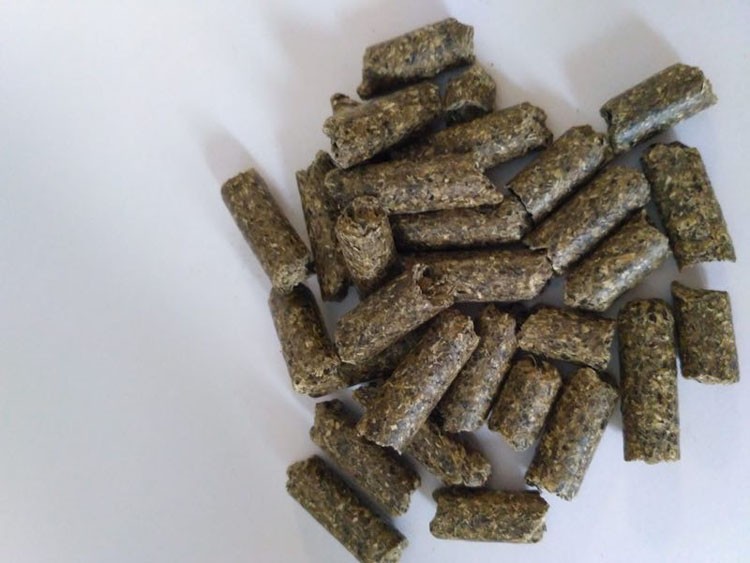 甜菜粕棉粕，甘蔗渣啤酒糟样品，甘蔗渣牛粪大豆皮米糠油糠小麦图1