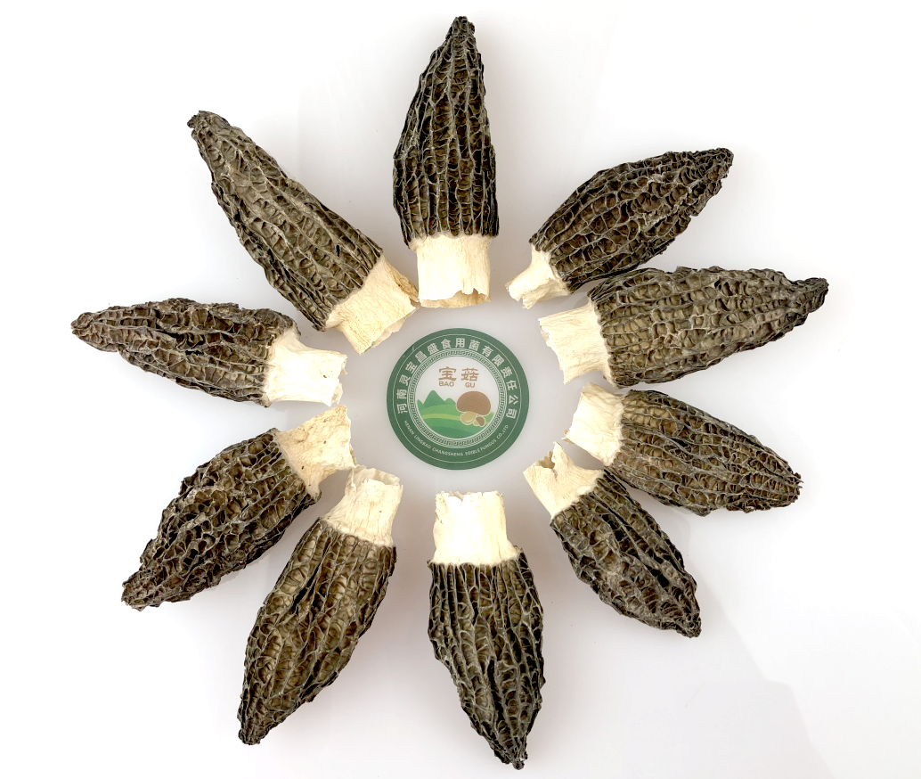 羊肚菌批发 产地直发  哪里基地羊肚菌品质好图2