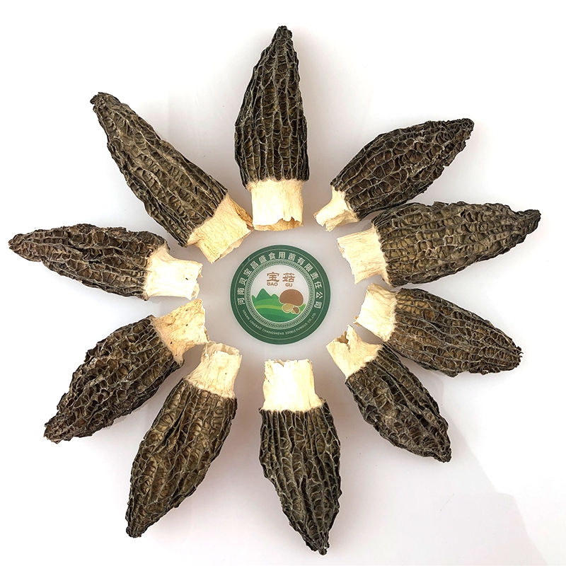 昌盛羊肚菌干货批发礼盒菌香浓特产晒干新鲜干货煲汤食材图1