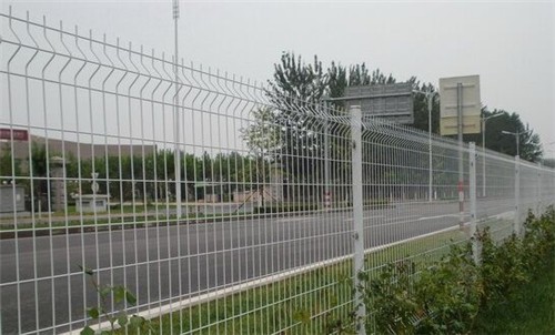 食用菌基地护栏网生产厂家图2