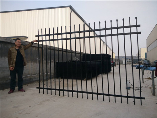 蘑菇厂区围栏网,食用菌基地护栏网图2