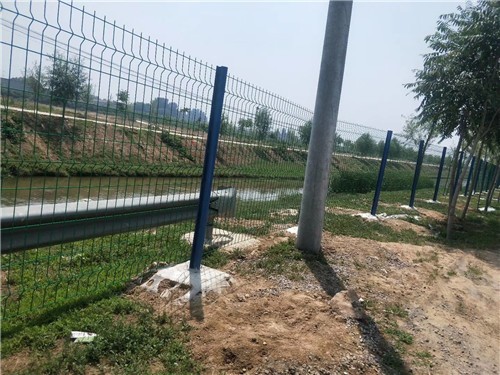 蘑菇厂区围栏网，食用菌基地护栏网图4