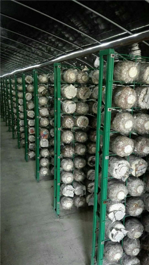 食用菌网格架中网格价格计算公式图1