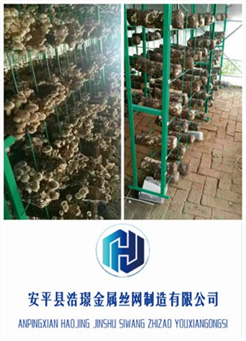 外行如何判断食用菌网格架质量,三点建议拿走不谢图1