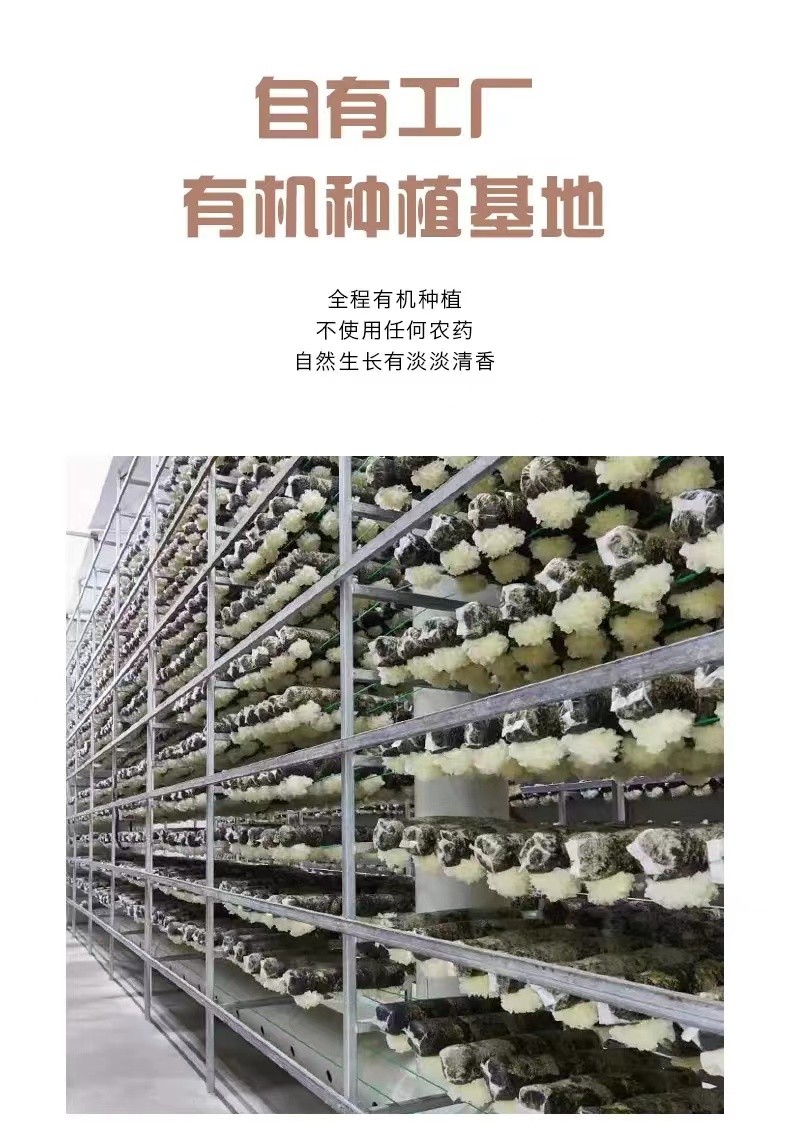 雪菲宠耳有机银耳  白木耳  雪耳  种植销售图1