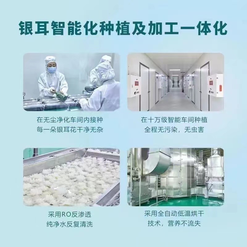 雪菲宠耳有机银耳  白木耳  雪耳  种植销售图2