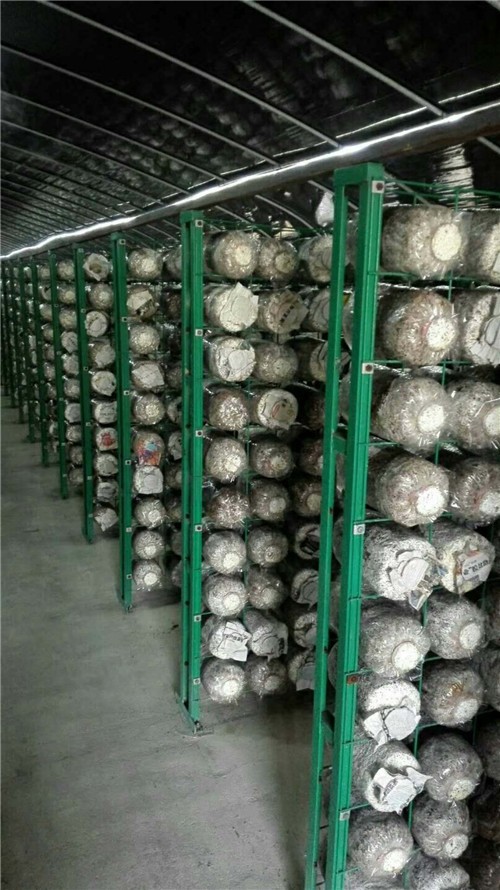 重庆出口食用菌网格架图1