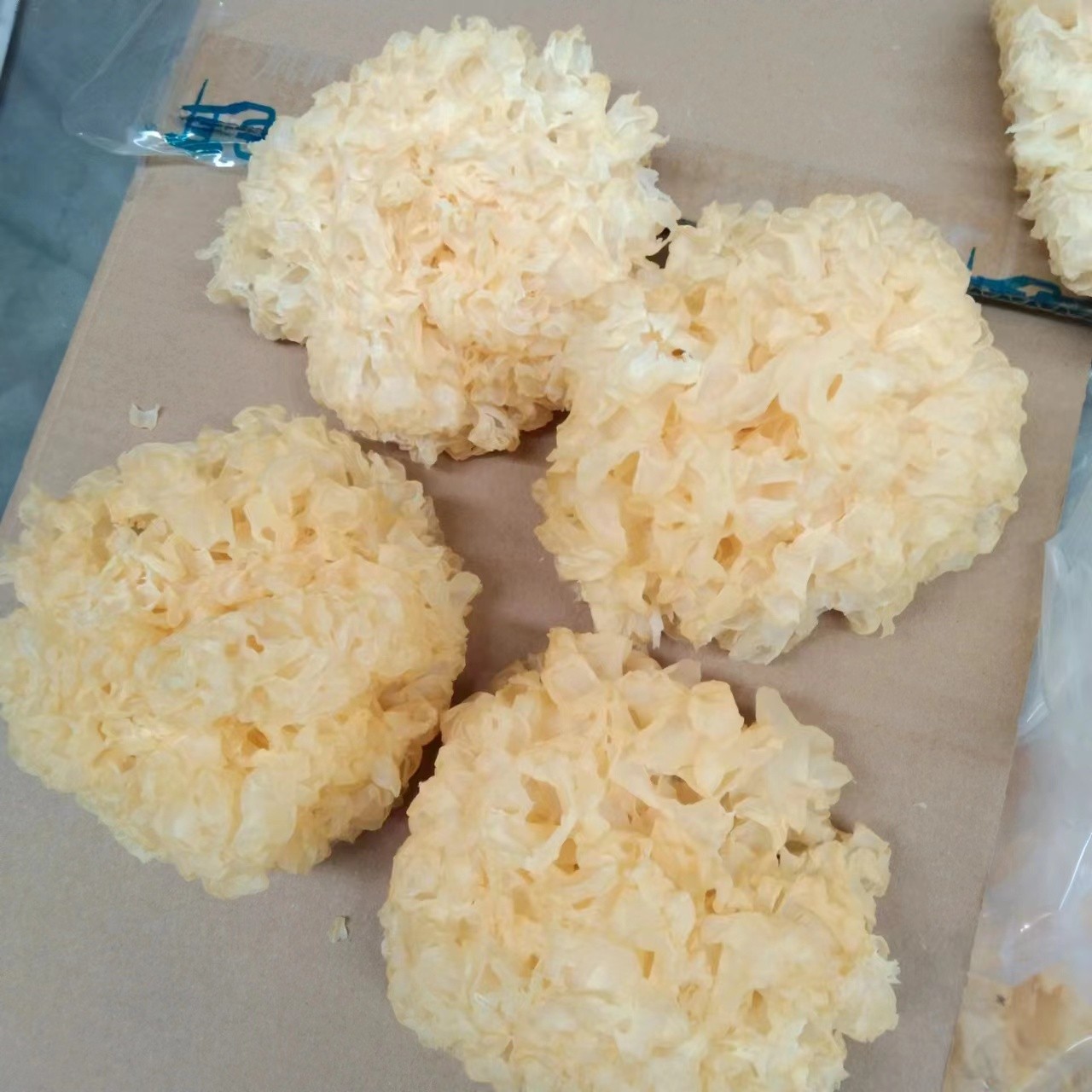 银耳中的娇贵品种——雪菲宠耳图2