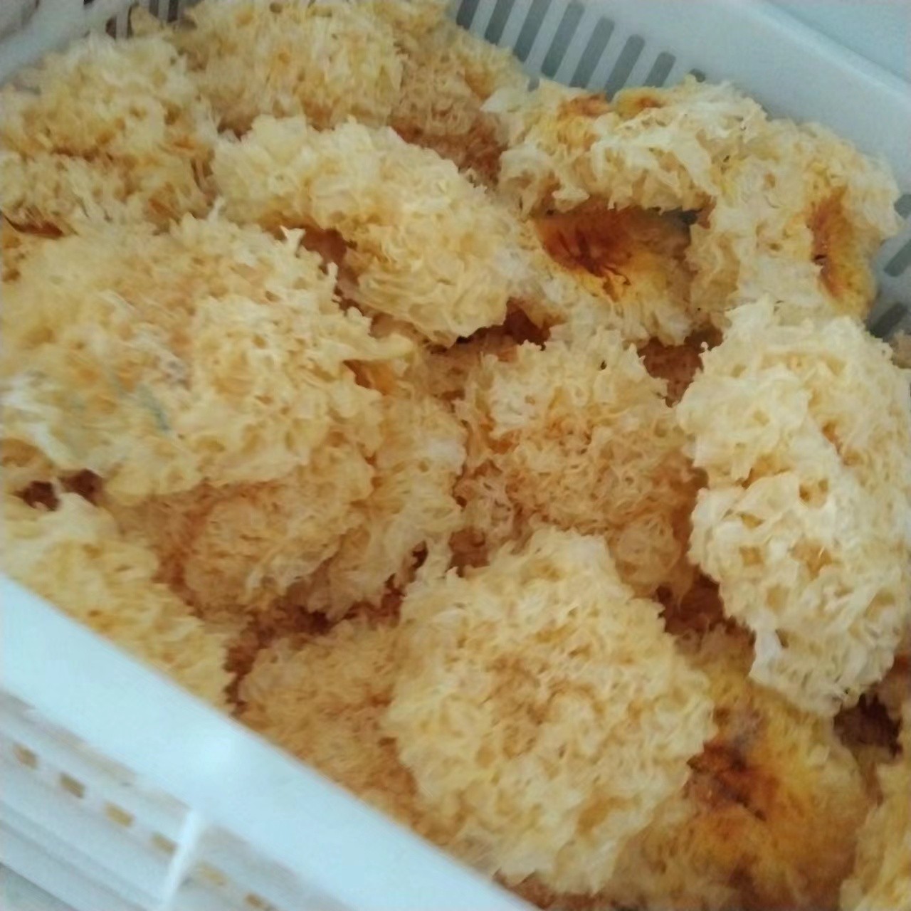 绿色种植鲜银耳  干银耳 雪菲宠耳品牌有机耳图2