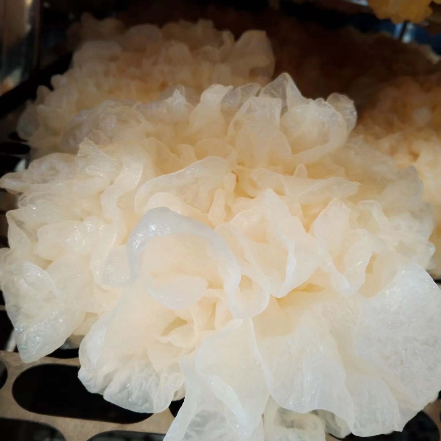 吃好银耳就吃雪菲宠耳有机耳 吃出健康图4