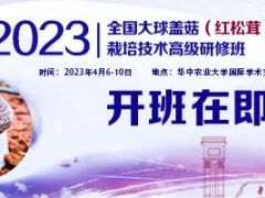 2023第二期全国大球盖菇（红松茸）栽培技术高级研修班开班在即！ ()