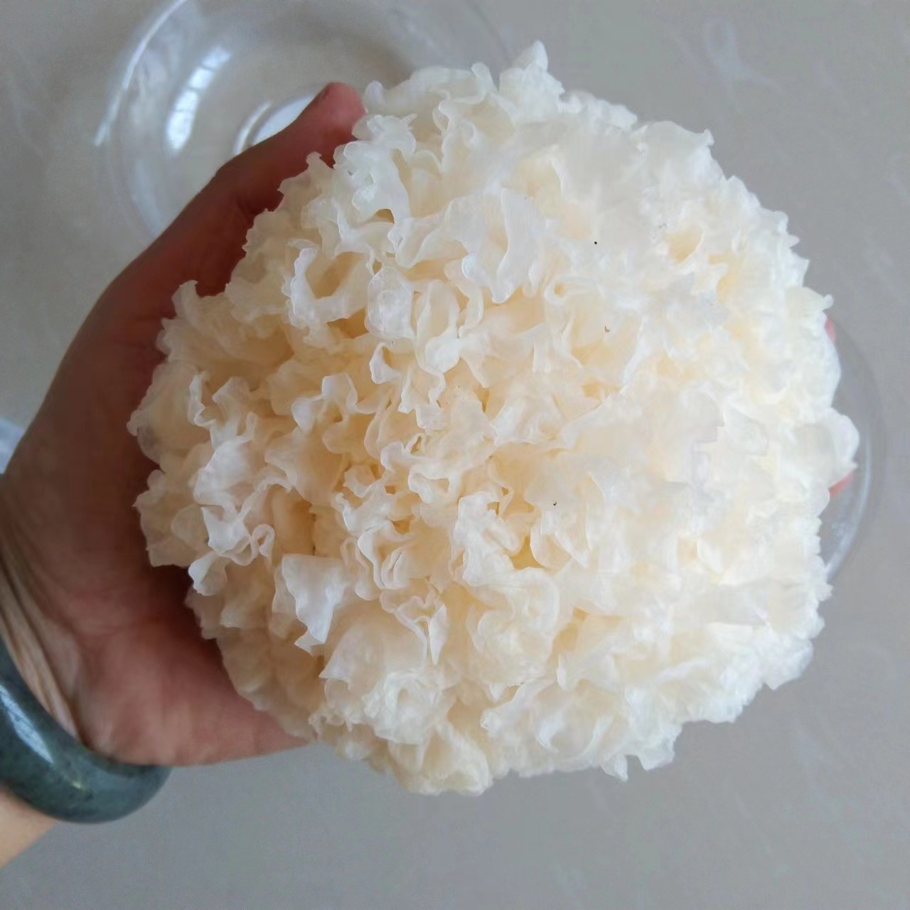 雪菲宠耳银耳 植物燕窝 大量批发 品质保证出胶快图2