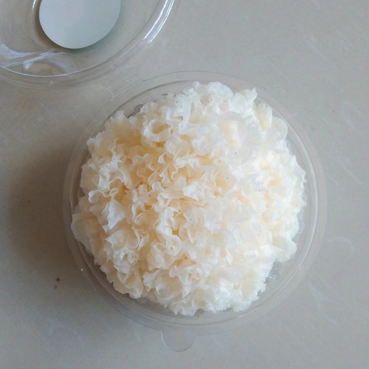 雪菲宠耳银耳 植物燕窝 大量批发 品质保证出胶快图3