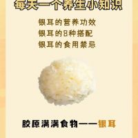 美食行天下 银耳进万家 雪菲宠耳银耳 健康营养搭配