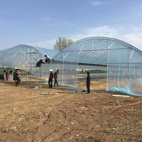 保温大棚定做大棚图1