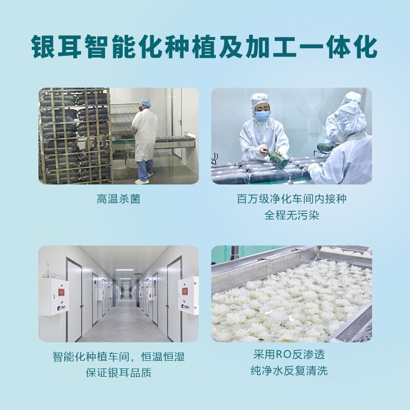 雪菲宠耳银耳一生尚品吃出美丽健康图3