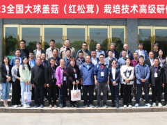 2023第二期全国大球盖菇（红松茸）栽培技术高级研修班于湖北武汉圆满结束！
