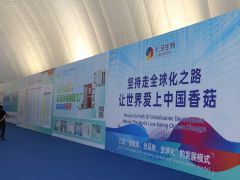 首届国际香菇产业创新博览会 (14)