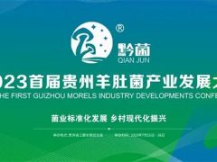2023首届贵州羊肚菌产业发展大会